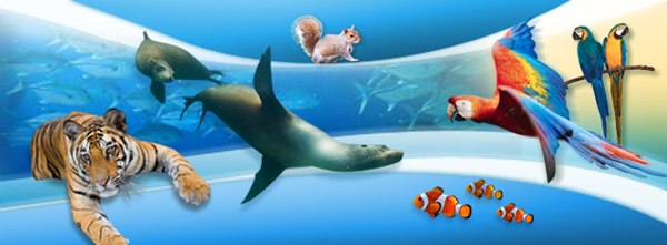 Samui Aquarium Half-Day Visit